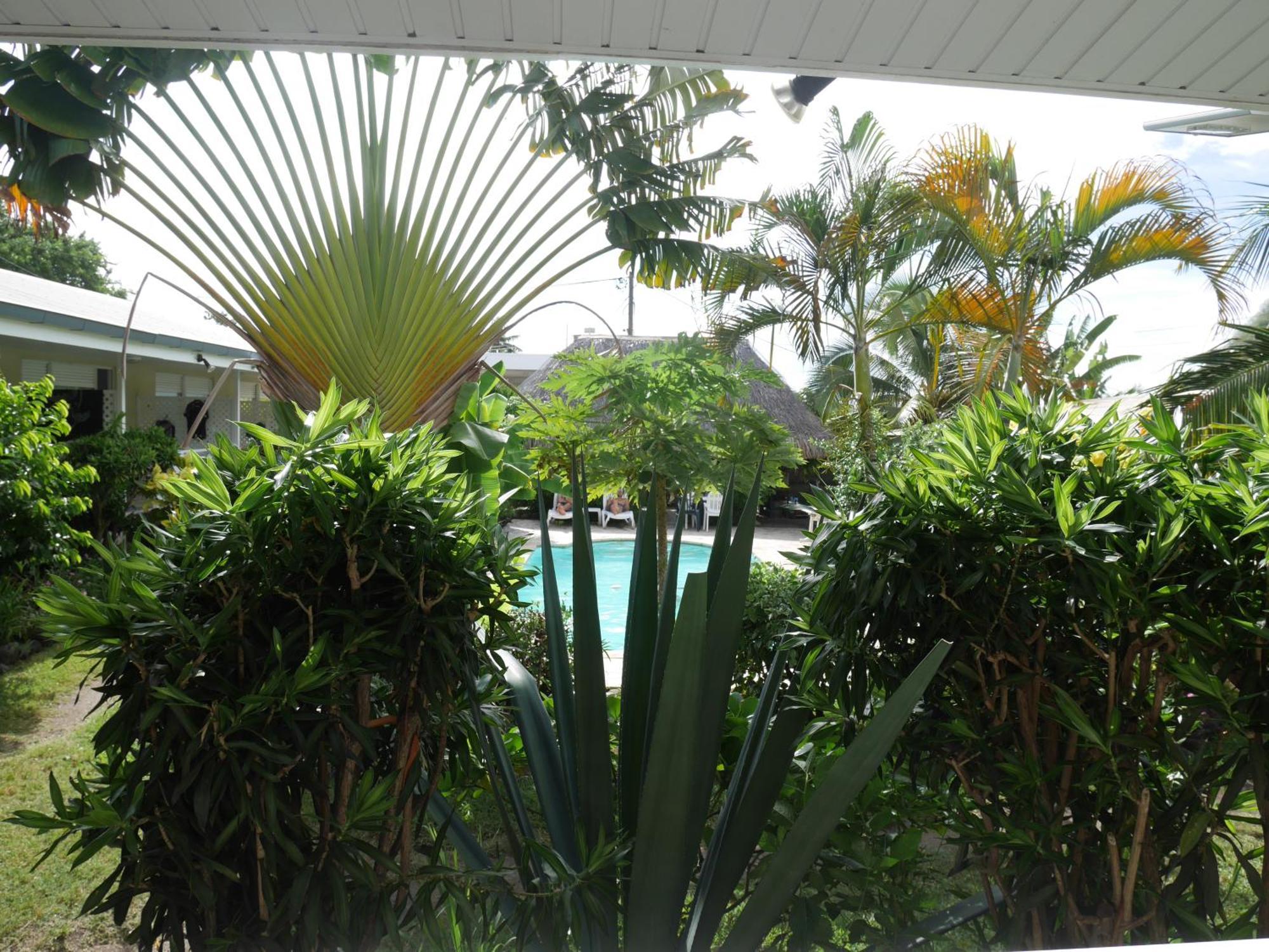 Pension De La Plage Punaauia  Zimmer foto